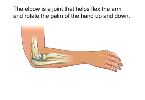 Elbow Injuries And Disorders
