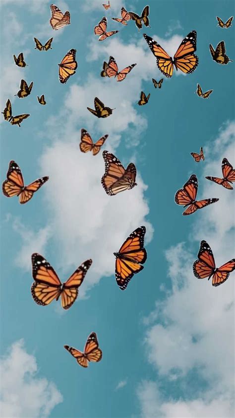 Butterflies Wallpaper Nawpic