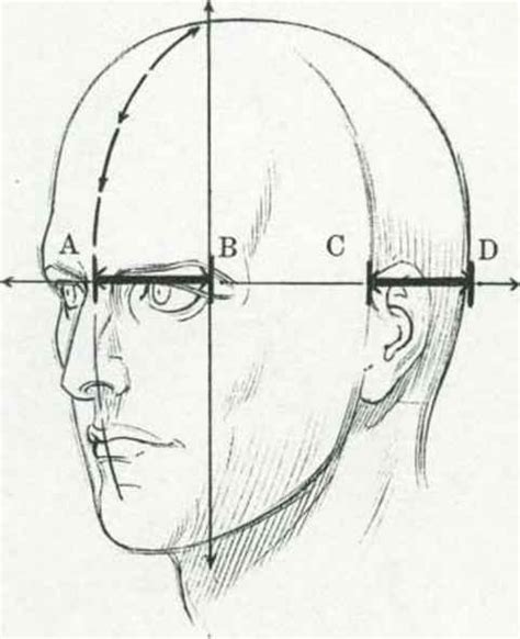 Drawing The Human Head Drawing The Human Head Joshua Nava Arts