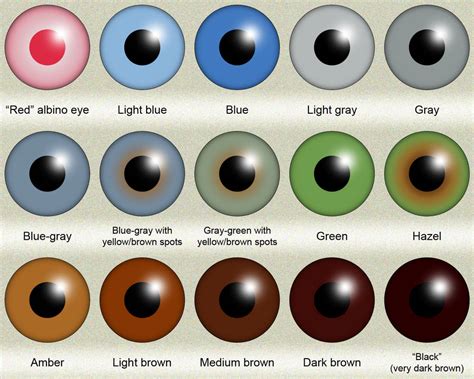 Shades Of Green Eye Color Chart