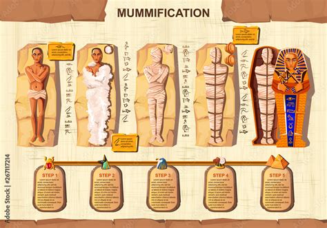 Mummy Creation Cartoon Vector Infographic Illustration Stages Of