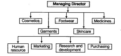 What Is Meant By Divisional Structure Of An Organisation Cbse Class