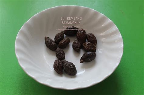 Nah terlepas dari itu, buah. AMIE'S LITTLE KITCHEN: Minuman Laici Kang Sesuai Untuk ...