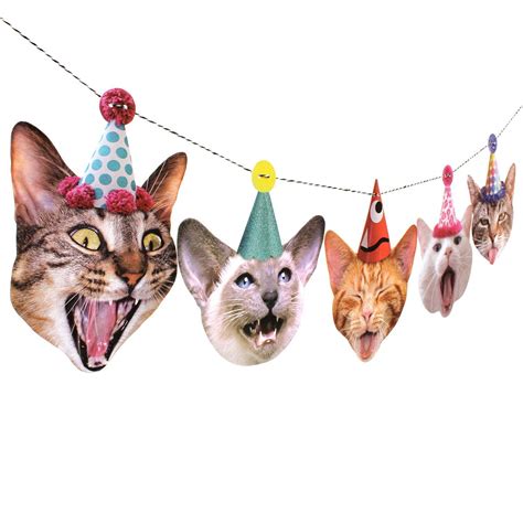 Let us celebrate your birthday at atmosphere 360 revolving restaurant kl tower. Amazon.com: Birthday Cats Garland, party banner decoration ...