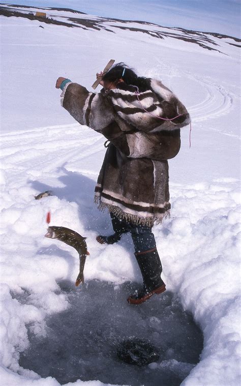 Ii2 Inuit Food 2 Fishing ~ People Of The Arctic By John Tyman