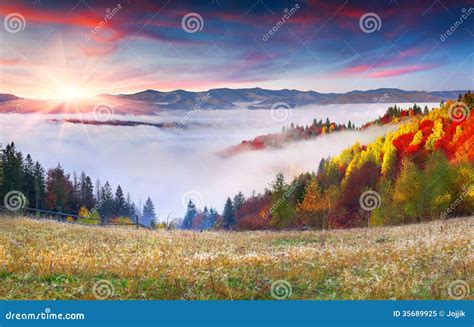 Colorful Autumn Sunrise In The Carpathian Mountains Stock Image Image