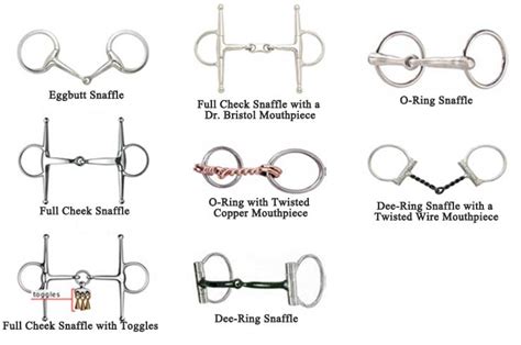 The Different Types Of Horse Bits That Can Be Used