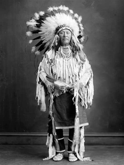 A shame this character will be lost forever. 1909 Crow Indian, Portrait, Headdress, antique, Native ...
