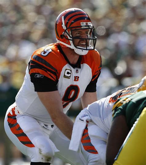 Bengals Legends Carson Palmer And David Fulcher Elected To Cfb Hof