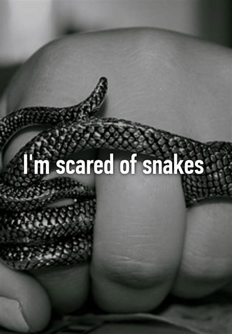 Im Scared Of Snakes