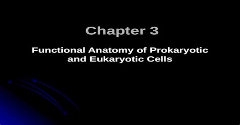 ppt chapter 3 functional anatomy of prokaryotic and eukaryotic cells dokumen tips