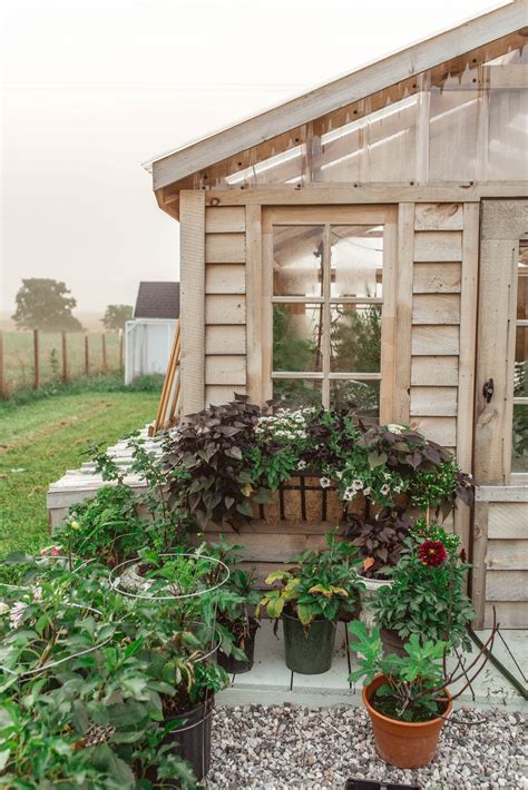 Amish Built Greenhouse Abigail Albers