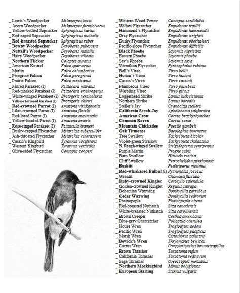 Arboretum Bird Check List The Arboretum