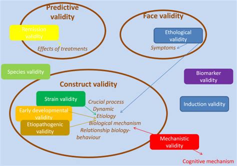 It does not guarantee that the test actually measures phenomena in that domain. How Are Animal Models Validated? | Taconic Biosciences