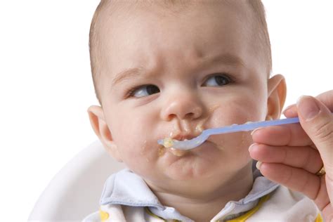 How Old Do Babies Start To Eat Baby Food Baby Viewer