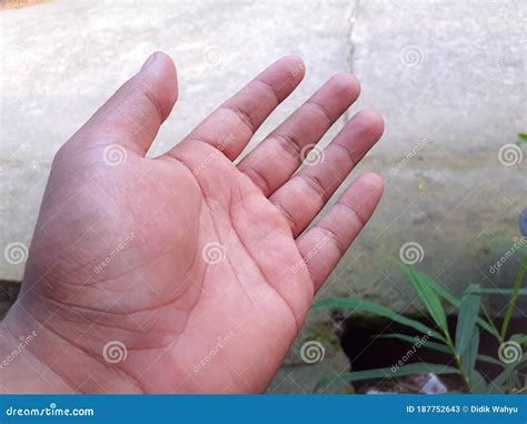 An Image Of A Human Palm Stock Image Image Of Outerwear 187752643