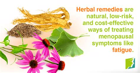 Herbal Remedies For Treating Fatigue During Menopause Menopause Now