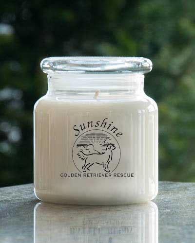 Willow Mist 16oz Sunshine Rescue Jar Whip City Candle Company