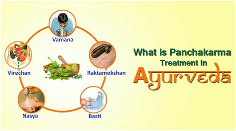 Panchkarma Treatment Purifies The Body And Mind