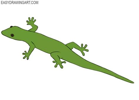 How To Draw A Lizard Easy Drawing Art