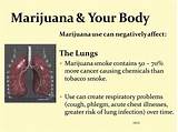 Does Marijuana Smoke Affect Your Lungs Pictures