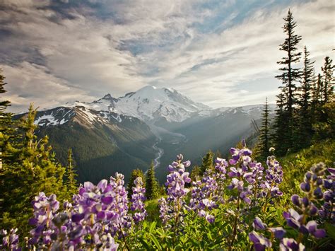 6 National Parks You Should Visit This Summer Condé Nast Traveler