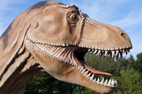 Reptile Dinosaur Tyrannosaurus Rex Editorial Stock Photo Image Of
