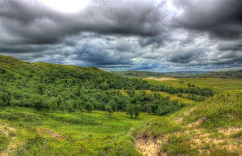 Forest In The Landscape At White Butte North Dakota Image Free Stock