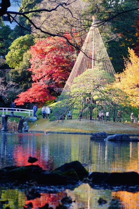 8 Best Japanese Gardens In Tokyo Japan Web Magazine