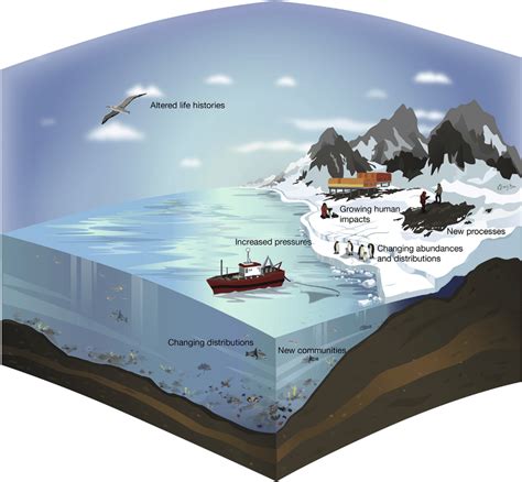 A Schematic Illustration Of Key Aspects Of The Antarctic Life On The