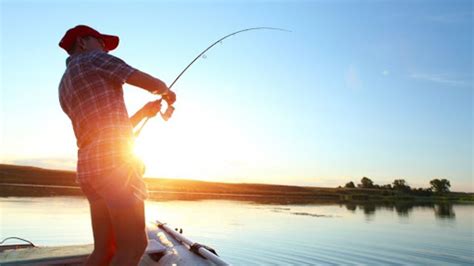 Licencia De Pesca Provincia De Ba ¿cómo Obtenerla