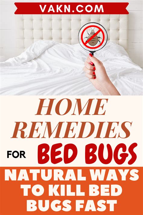 Home Remedies For Bed Bugs Natural Ways To Kill Bed Bugs Fast Bed