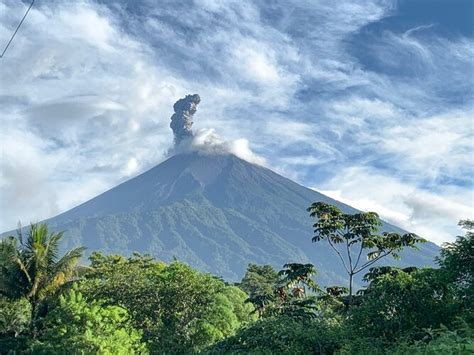 Volc N De Fuego En Guatemala Entra En Erupci N Radio Panam