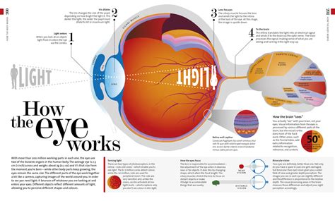 How The Eye Works Tom Howey Book Design And Typography