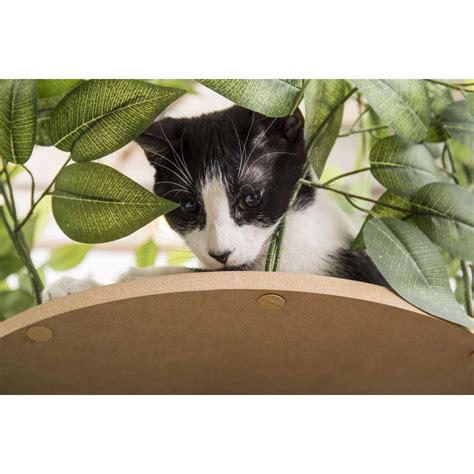 The best cat trees, condos, and towers are sturdy pieces of furniture that provide environmental enrichment for your cat. Luxury Cat Tree (Medium) - Square Base