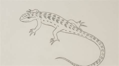 It is 10 inches square including mount. Draw a Lizard by Pencil - DIY Crafts - Guidecentral - YouTube