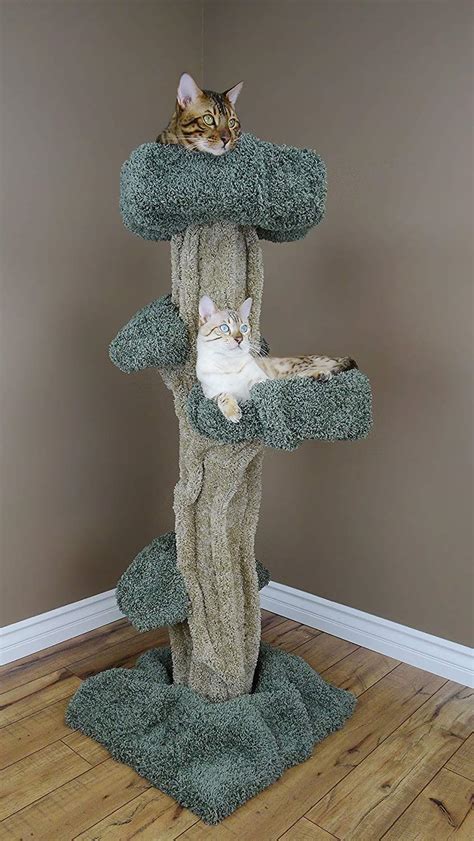 Cat trees vary in height and complexity, with most cats preferring features offering height over comfort. Cat Trees Carpet Covered Works Of Art? - Cool Cat Tree Plans
