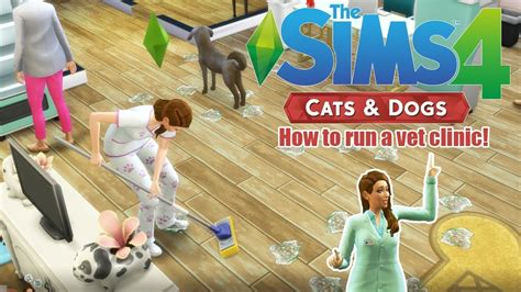 How To Start And Run A Vet Clinic The Sims 4 Cats And Dogs Tips