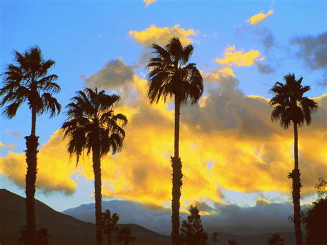 Palm Springs Sunset Photograph By Randall Weidner Fine Art America