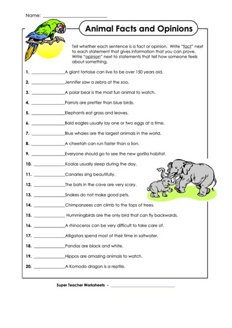 Introduction To Animals Worksheet Answer