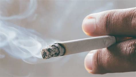 efeitos do fumo e do fumo passivo respostas sempre atualizadas