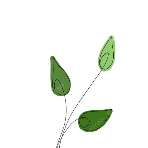 Aesthetic Leaf Line Art Leaf Drawing Leaf Sketch Line Art Png