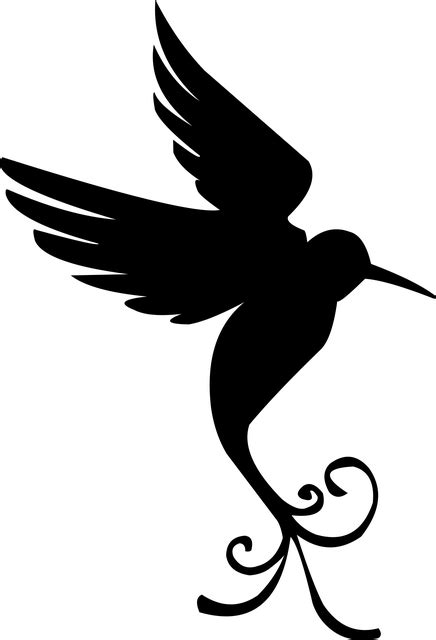 Burung Bayangan Hitam Sayap · Gambar Vektor Gratis Di Pixabay