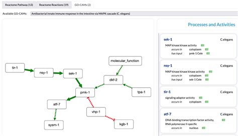 Tools To Curate Browse Search And Visualize Go