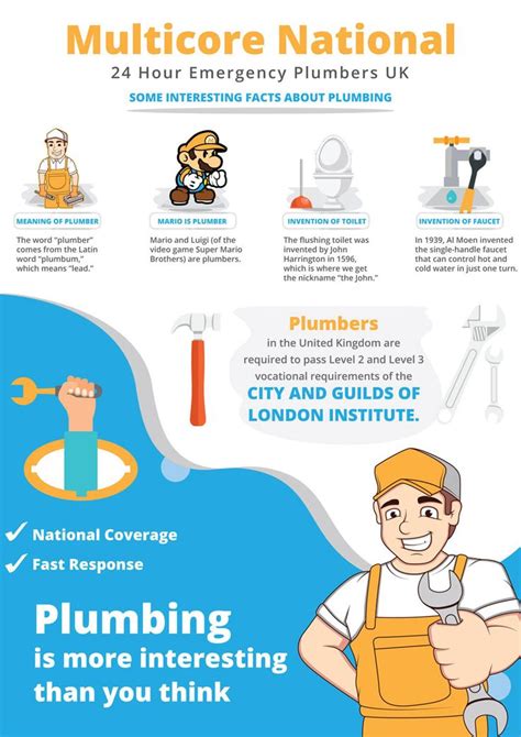 Infographic Interesting Plumbing Facts