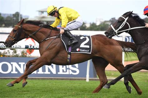 Ranvet Stakes 2021 Tips Odds Field And Results Racenet