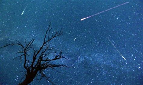 Perseids 2019 Dazzling Meteor Shower Peaks Tonight With 100 Shooting Stars An Hour Science