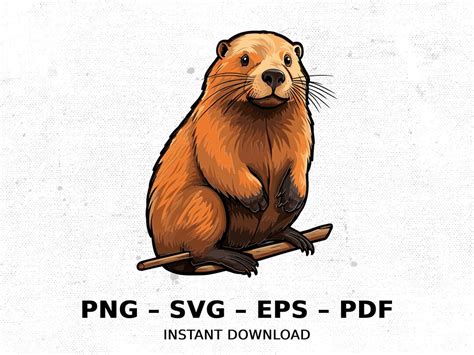 Beaver Svg Clipart Png Sublimation Designed Instant Digital Download