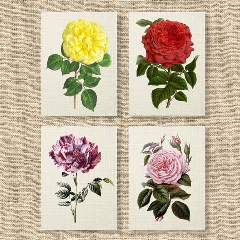 Botanical Vintage Roses Greeting Cards Flower Note Cards Blank Etsy Uk