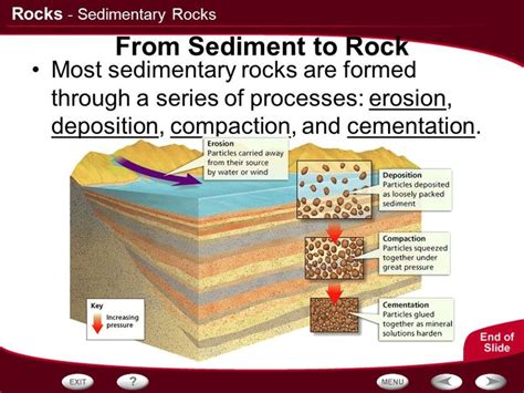 Sedimentary Rock Layers Diagram